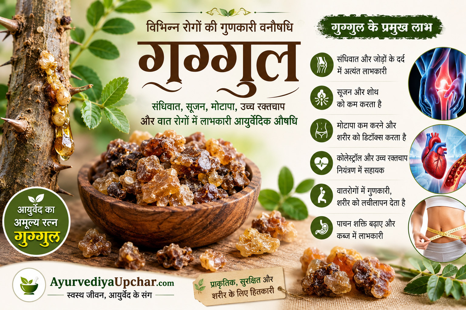 गुग्गुल के फायदे और औषधीय उपयोग | संधिवात, सूजन और मोटापे में लाभ