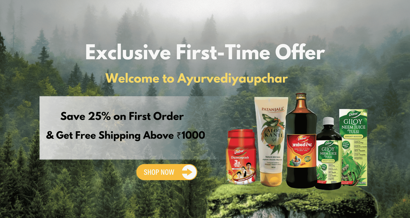AYURVEDIYAUPCHAR promo