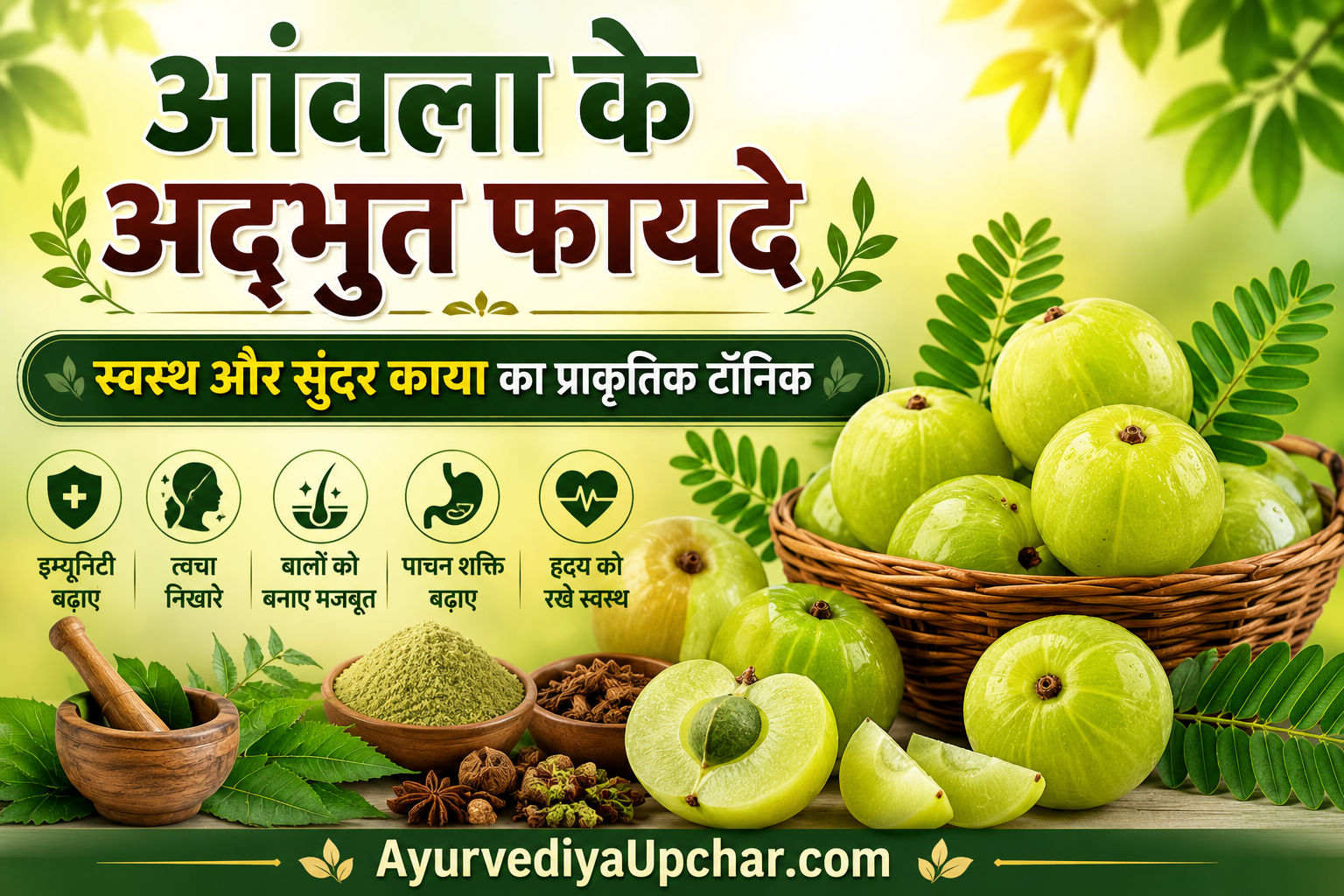 स्वस्थ और सुंदर काया का प्राकृतिक टॉनिक – आंवला